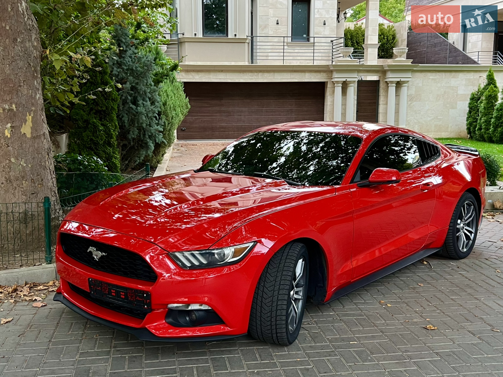 2015 Ford Mustang - мініатюра 28
