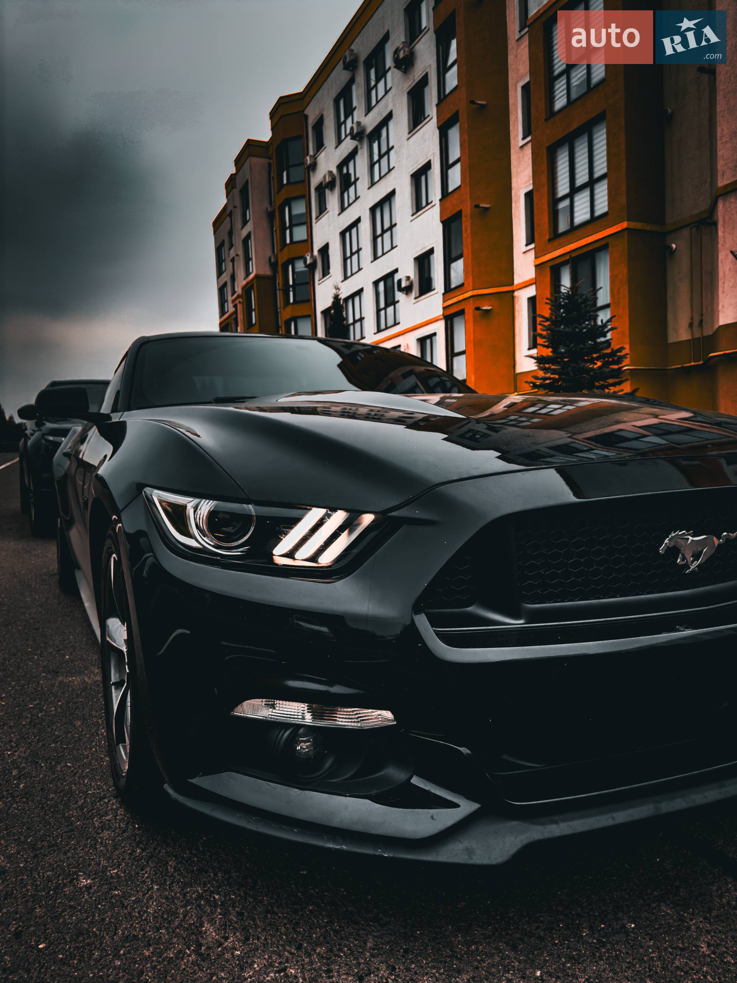 2015 Ford Mustang - мініатюра 3