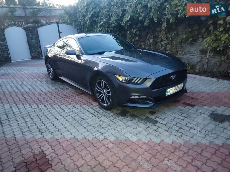 2017 Ford Mustang, VIN 1FA6P8TH3H5281656:plate — фото 1 (autoria)