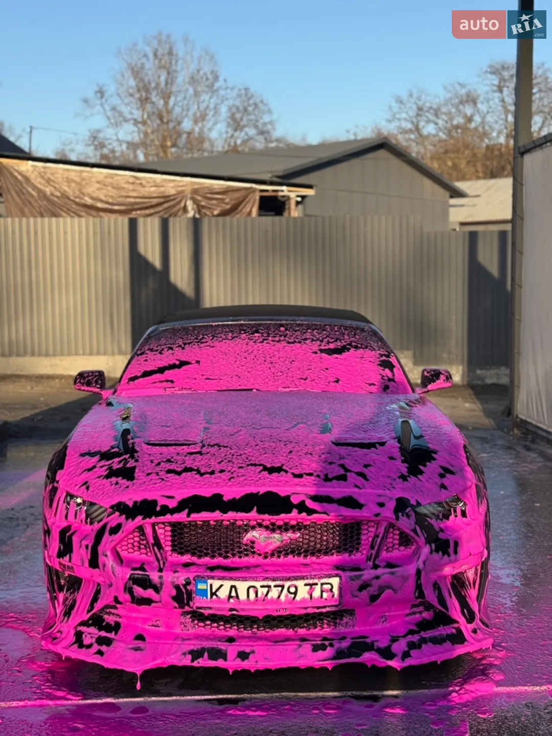 2015 Ford Mustang - мініатюра 31