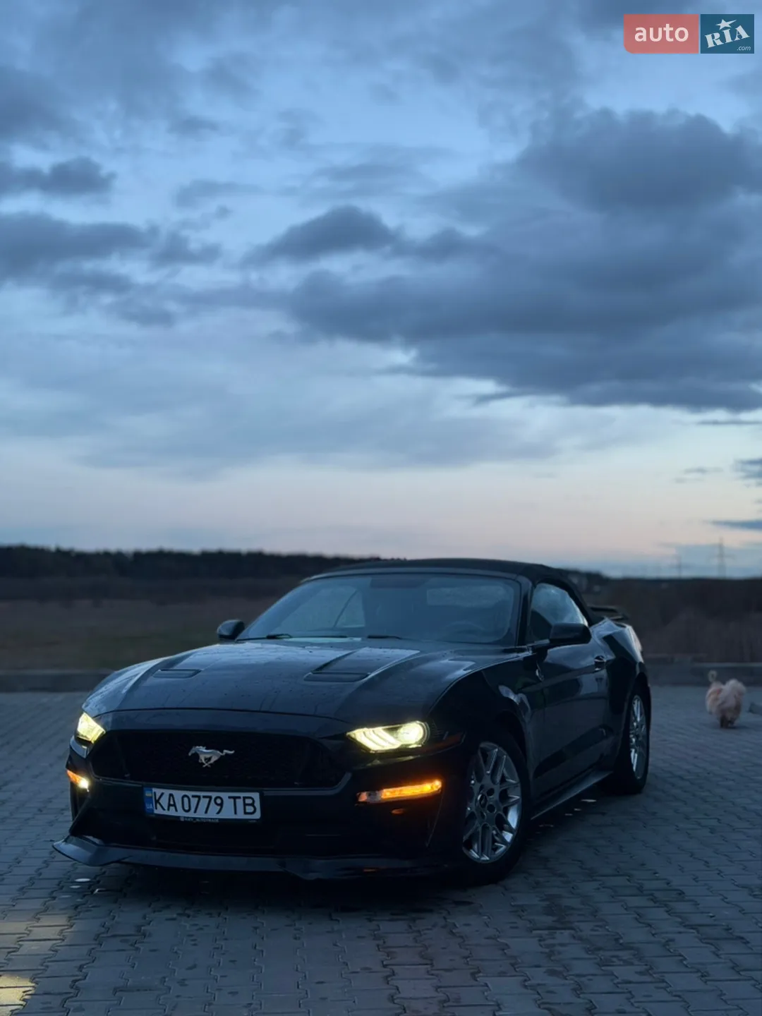 2015 Ford Mustang - мініатюра 22