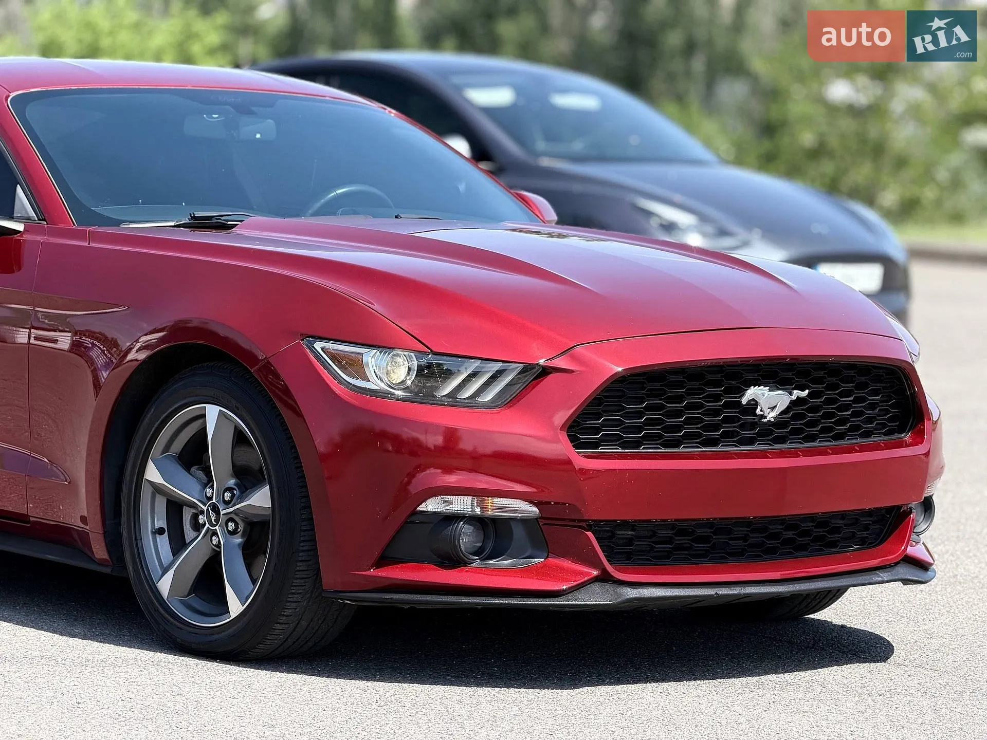 2016 Ford Mustang - мініатюра 12