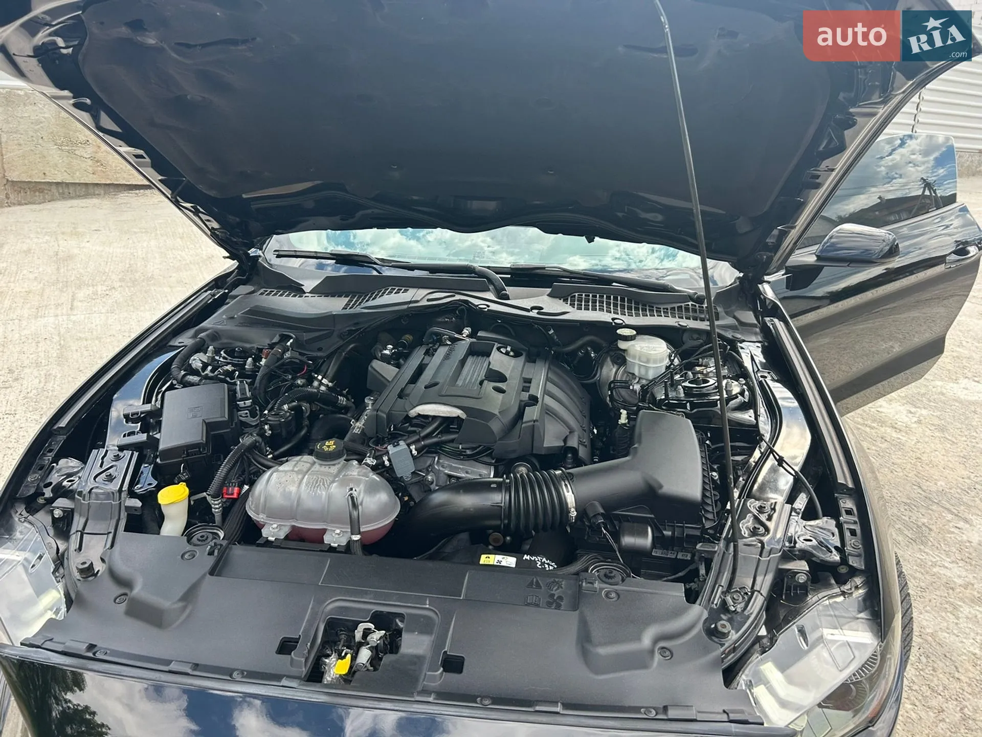Ford Mustang 2018 VIN 1FA6P8TH9J5180367 фото оголошення 11 з 23