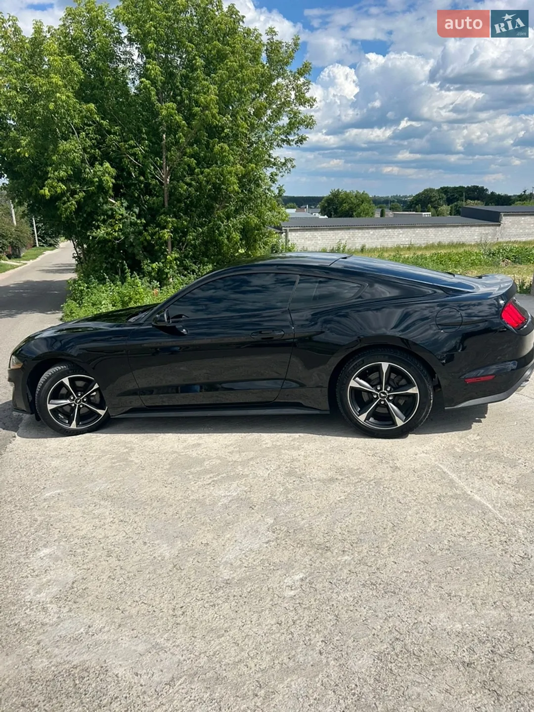 Ford Mustang 2018 VIN 1FA6P8TH9J5180367 фото оголошення 22 з 23