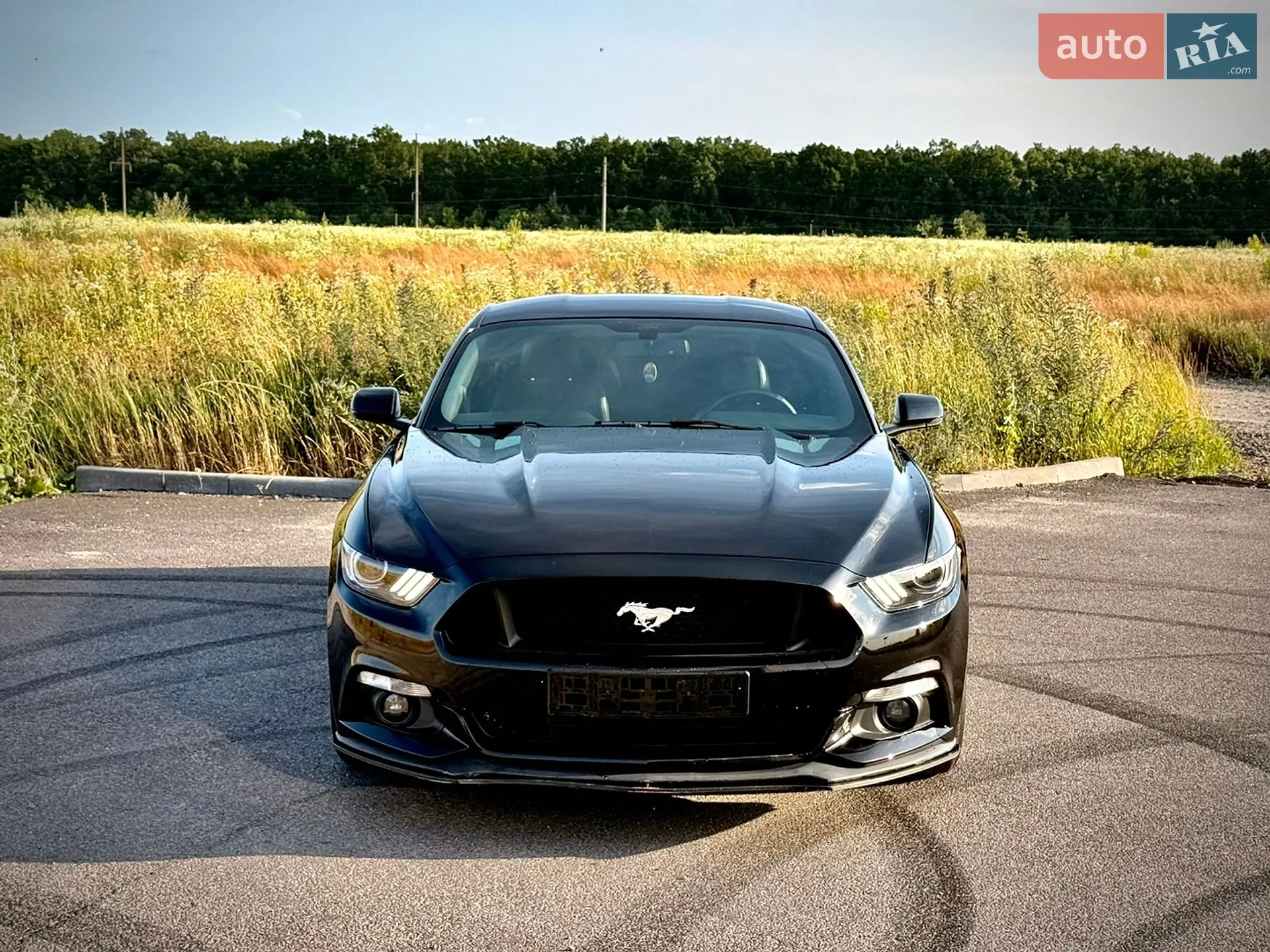 2016 Ford Mustang - мініатюра 2