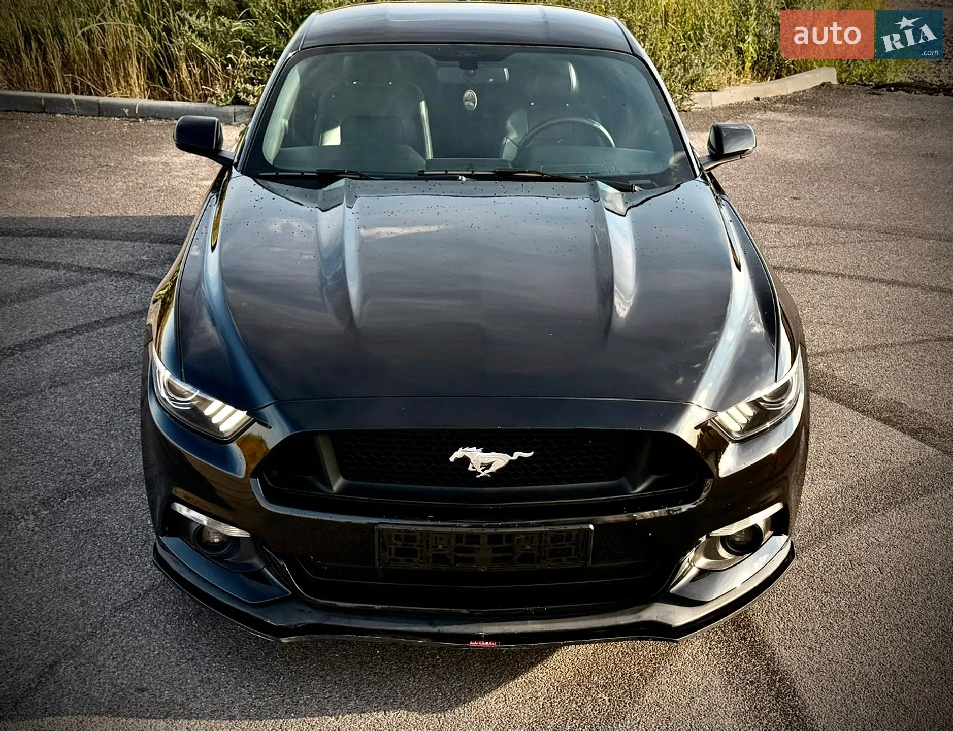 2016 Ford Mustang - мініатюра 7