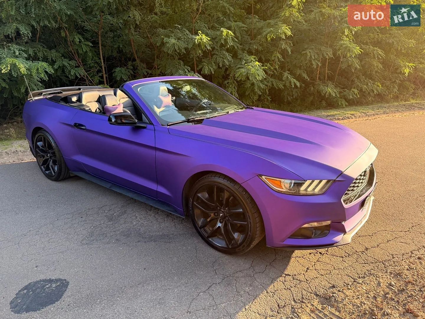 2015 Ford Mustang - мініатюра 26