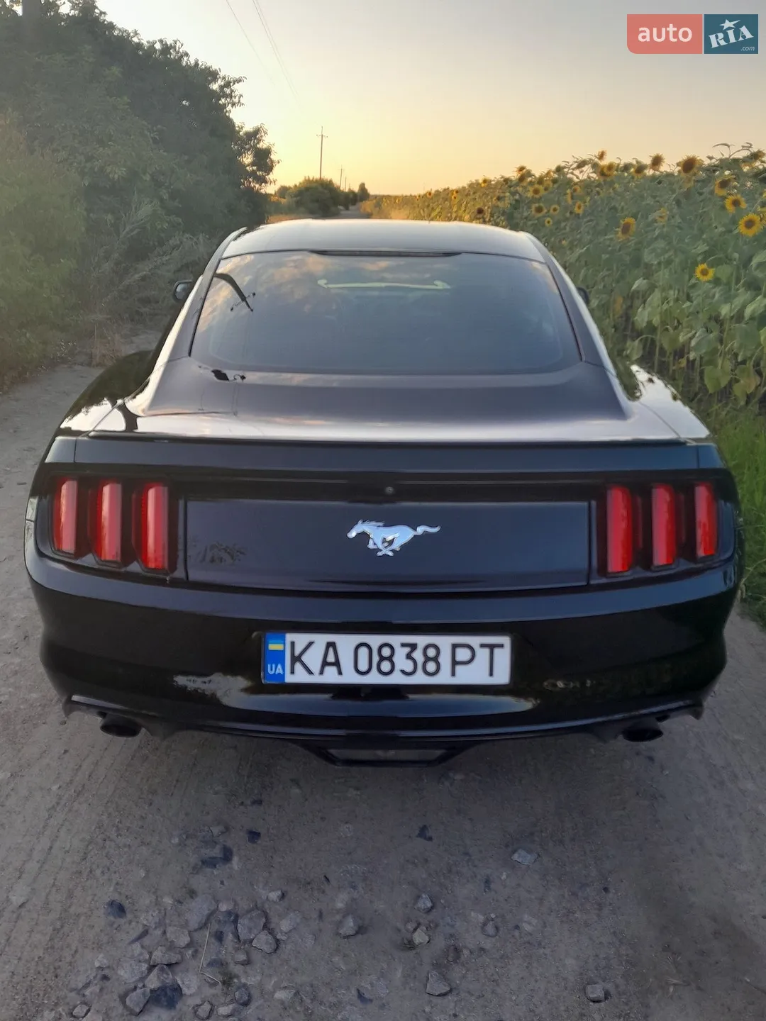 2016 Ford Mustang - мініатюра 11
