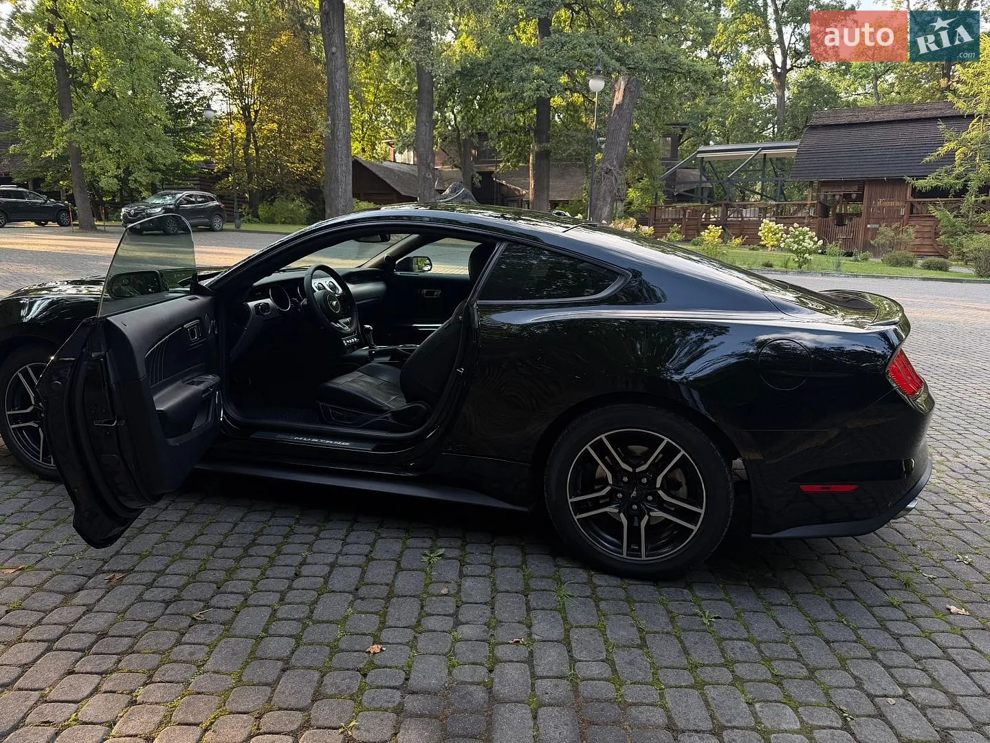 2019 Ford Mustang - мініатюра 28