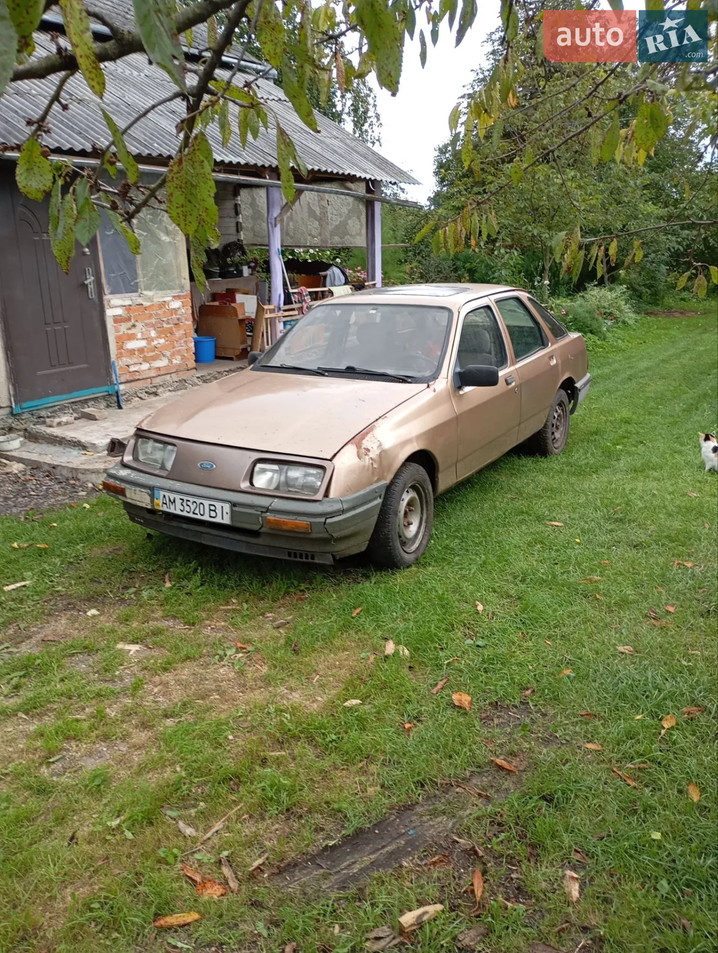 Ford Sierra 1985 р.в