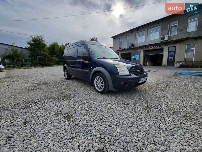 Минивэн Ford Tourneo Connect 2010 в Залещиках