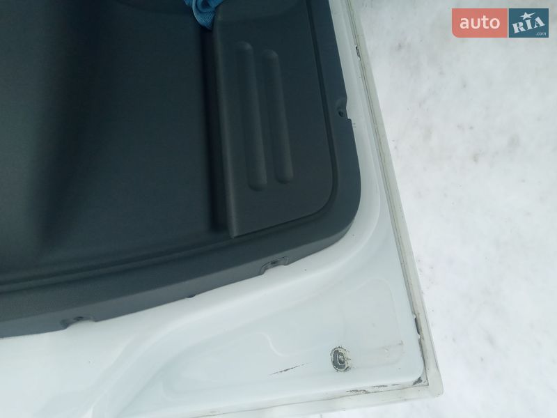 Минивэн Ford Tourneo Connect 2008 в Городнице