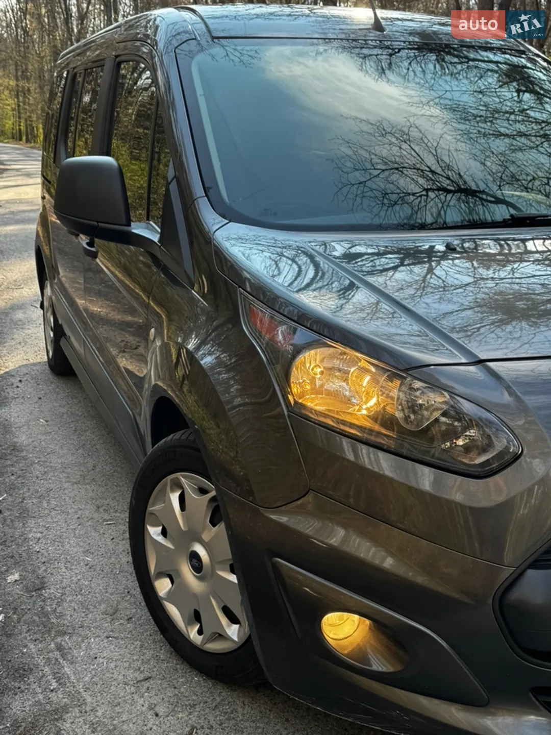 2018 Ford Tourneo Connect - мініатюра 12