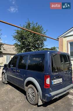 Мінівен Ford Transit Connect 2010 в 