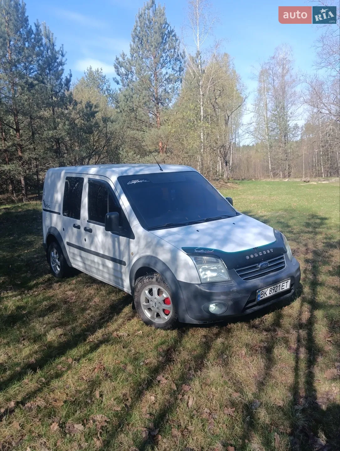 2010 Ford Transit Connect - мініатюра 17