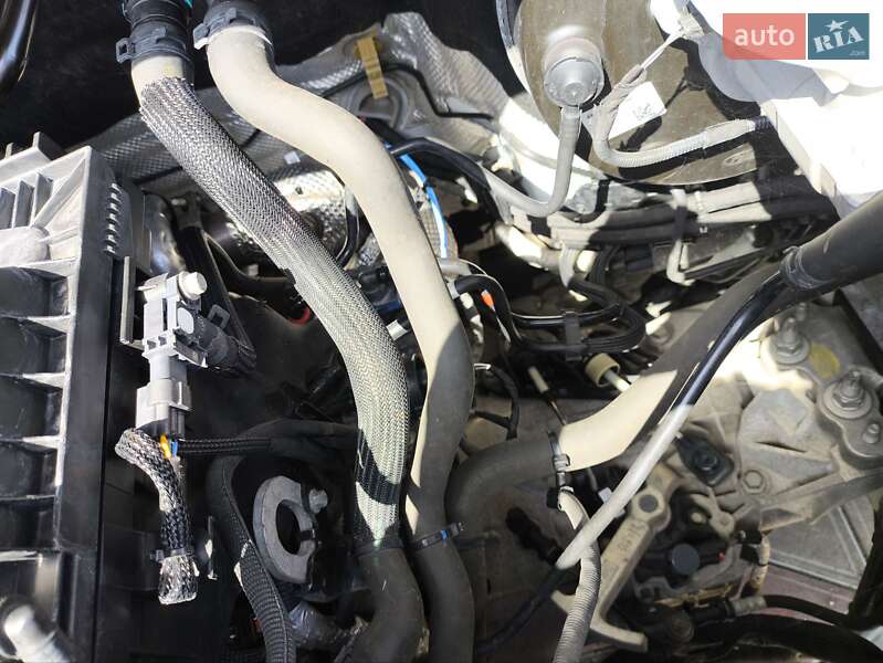 Борт Ford Transit 2021 в Виннице фото 40 Борт Ford Transit 2021 в Виннице