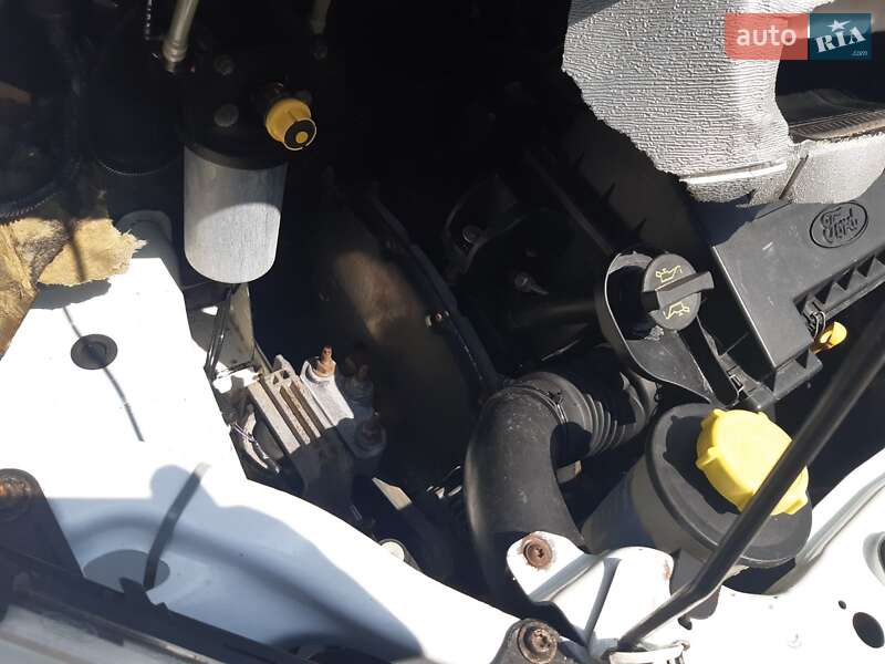 Грузопассажирский фургон Ford Transit 2010 в Врадиевке фото 13 Грузопассажирский фургон Ford Transit 2010 в Врадиевке