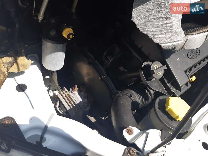 Грузопассажирский фургон Ford Transit 2010 в Врадиевке фото 16 Грузопассажирский фургон Ford Transit 2010 в Врадиевке