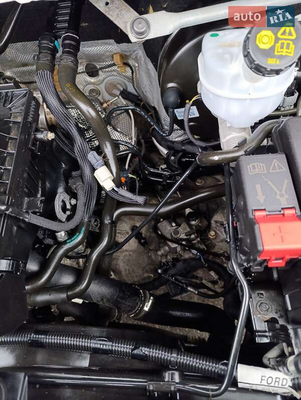 Вантажний фургон Ford Transit 2017 в Нових Санжарах фото 10 Вантажний фургон Ford Transit 2017 в Нових Санжарах