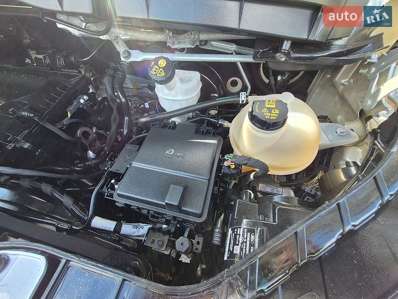 Грузовой фургон Ford Transit 2021 в Дубно фото 59 Грузовой фургон Ford Transit 2021 в Дубно