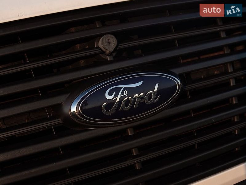 Вантажний фургон Ford Transit 2014 в Вінниці