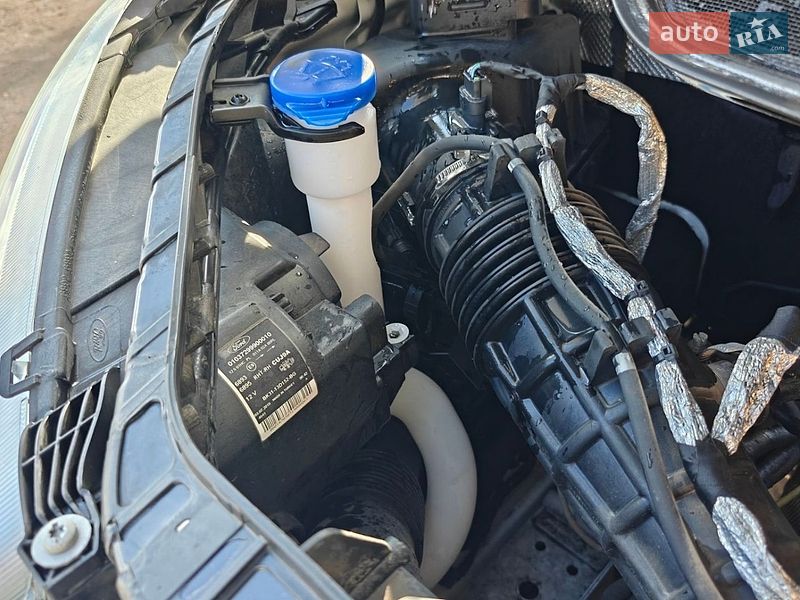 Борт Ford Transit 2019 в Дніпрі