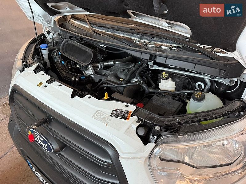 Другие автобусы Ford Transit 2026 в Киеве фото 10 Другие автобусы Ford Transit 2026 в Киеве