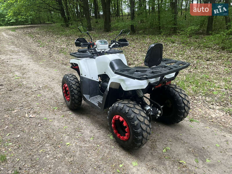 Квадроцикл  утилитарный Forte Braves 200 2020 в Теофиполе
