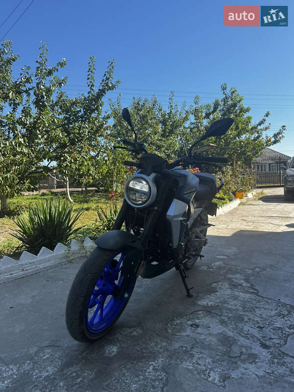 Мотоцикл Классік Forte FT 250 CKP 2024 в Чернівцях фото 4 Мотоцикл Классік Forte FT 250 CKP 2024 в Чернівцях