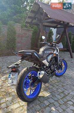 Мотоцикл Без обтекателей (Naked bike) Forte FT 250-CKP 2024 в 