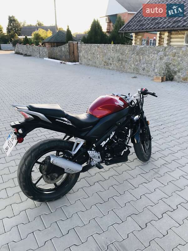 Мотоцикл Без обтекателей (Naked bike) Forte FTR 300 2019 в Калиновке фото 5 Мотоцикл Без обтекателей (Naked bike) Forte FTR 300 2019 в Калиновке