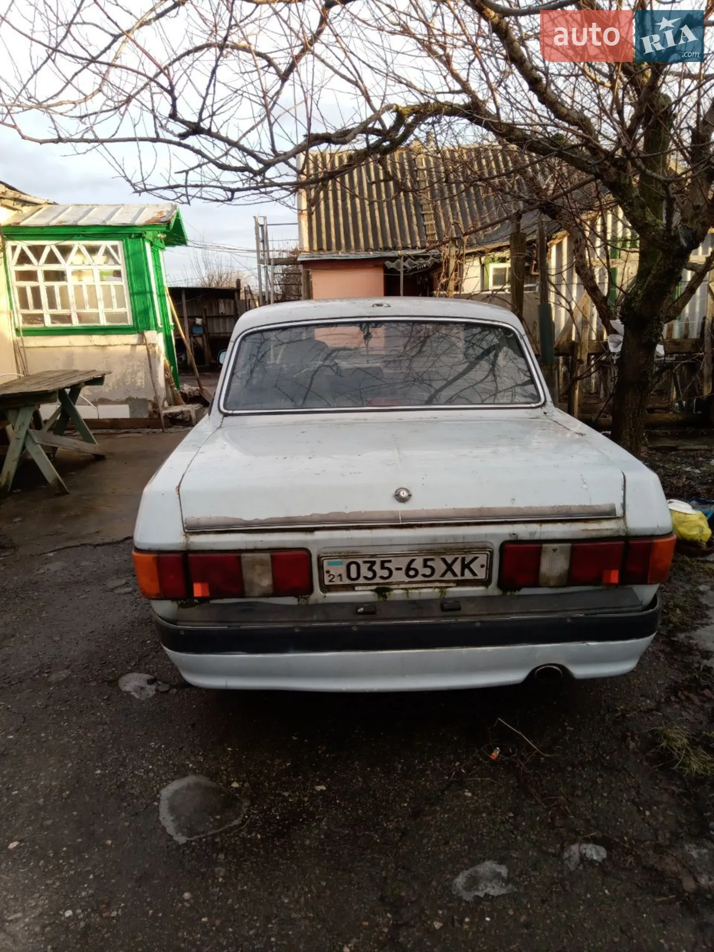GAZ 31029 Volga 1993 VIN XTH310290P0145542 фото оголошення 9 з 20
