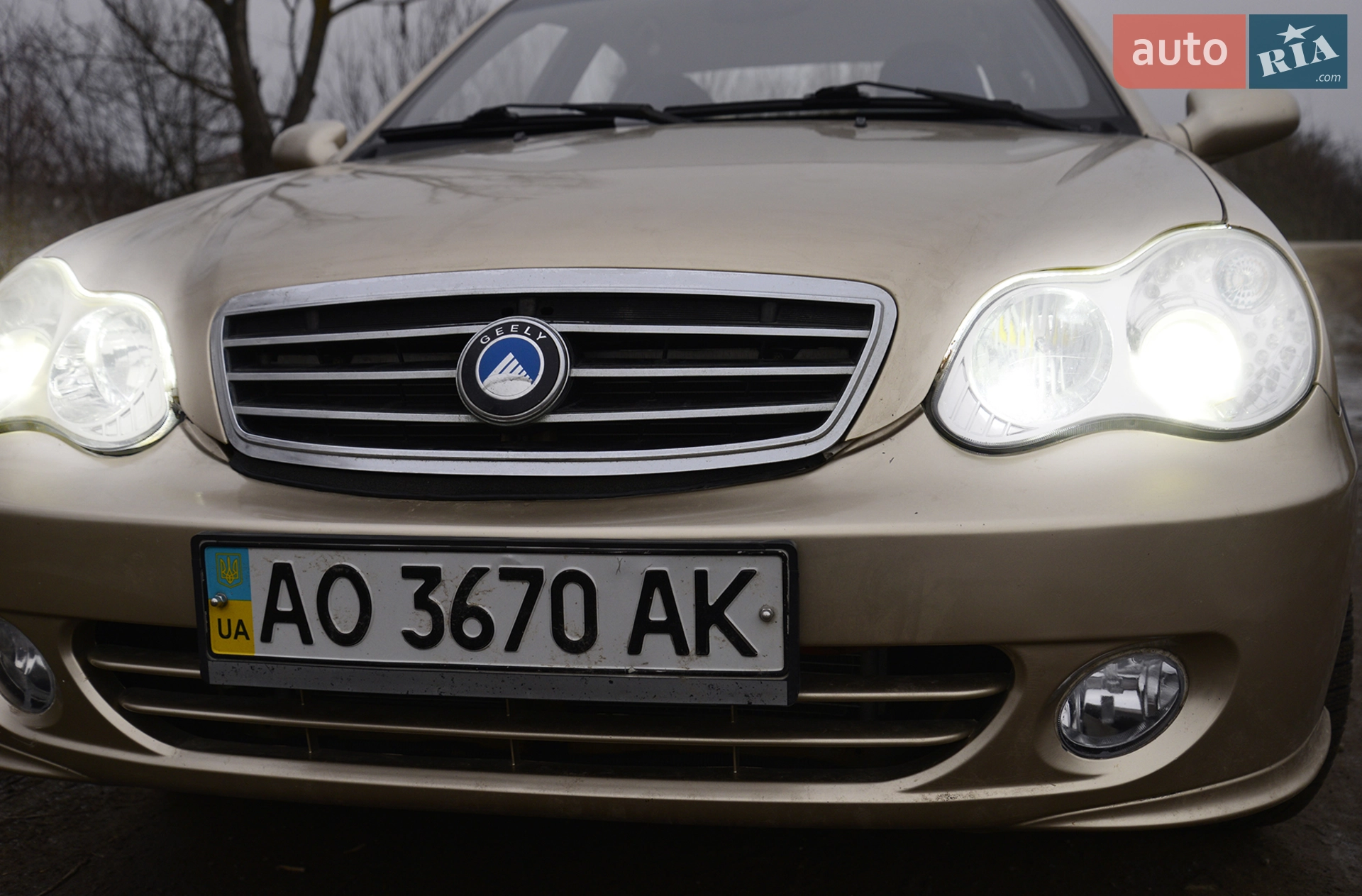 2010 Geely CK (Otaka) - мініатюра 4