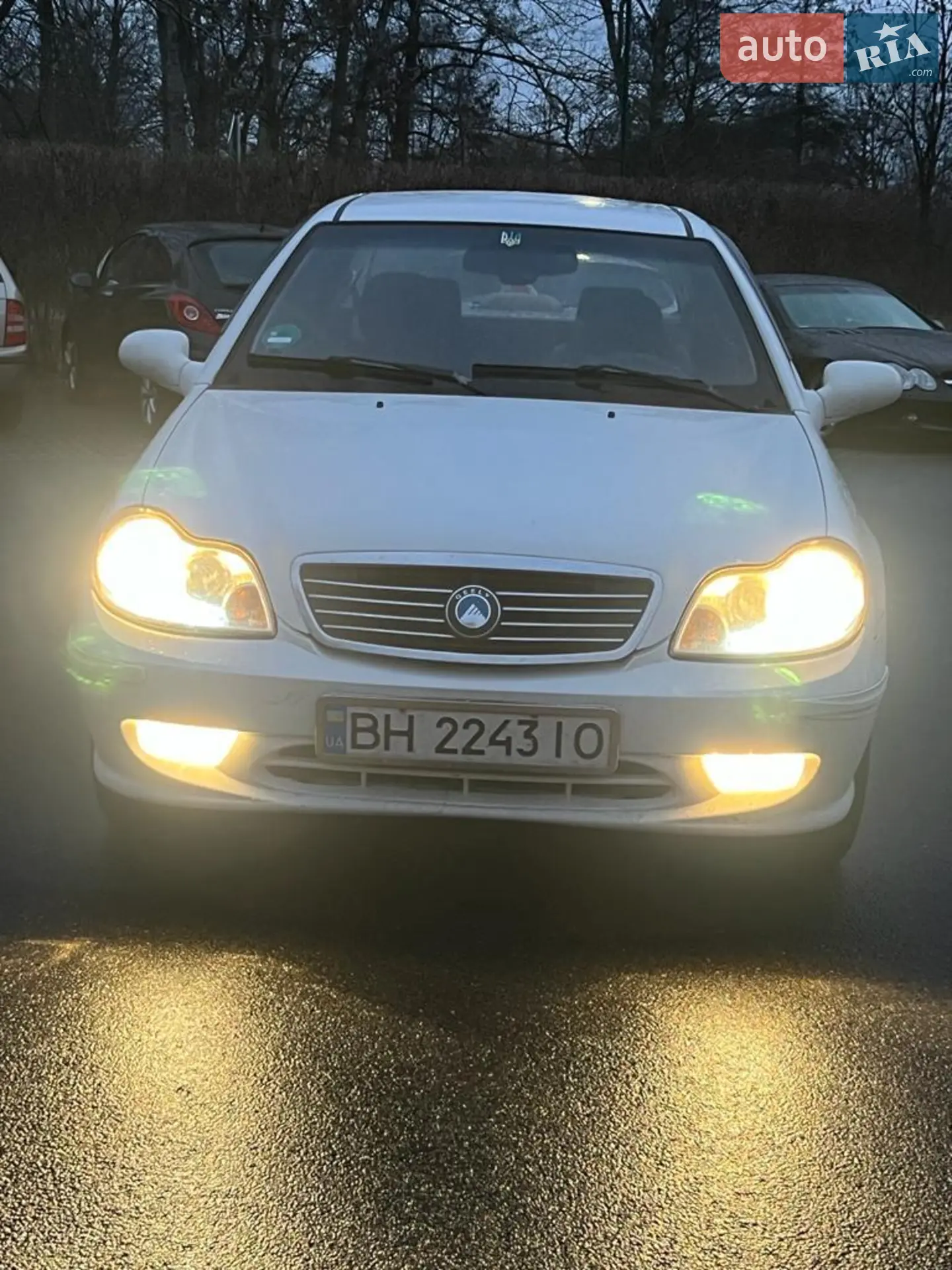 2013 Geely CK (Otaka) - мініатюра 34