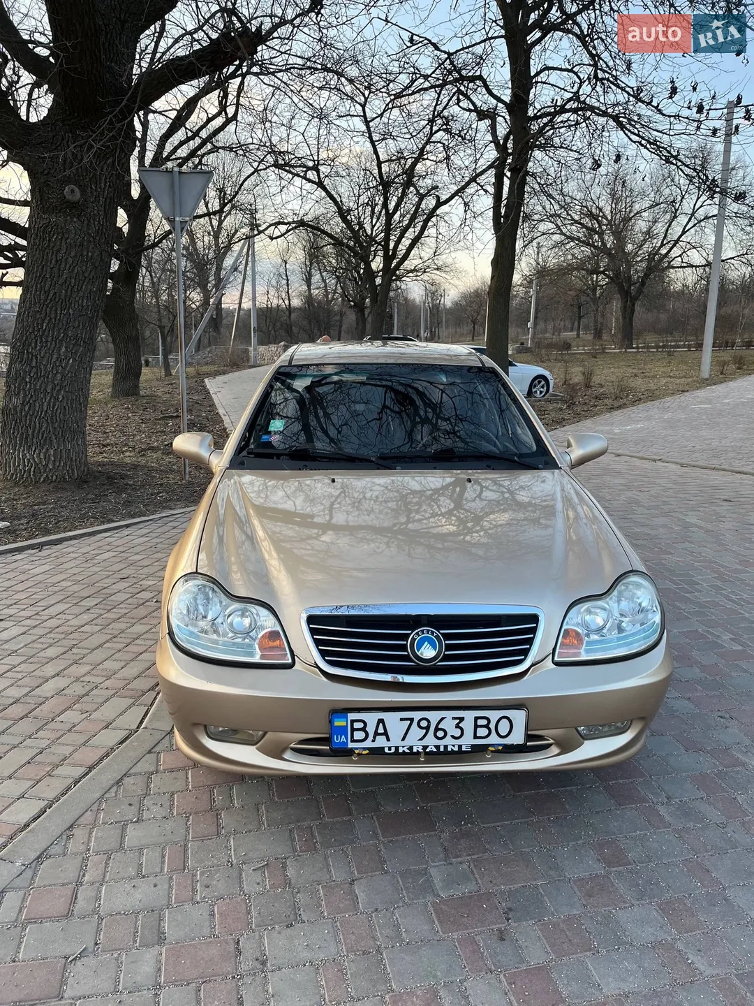 2013 Geely CK (Otaka) - мініатюра 5