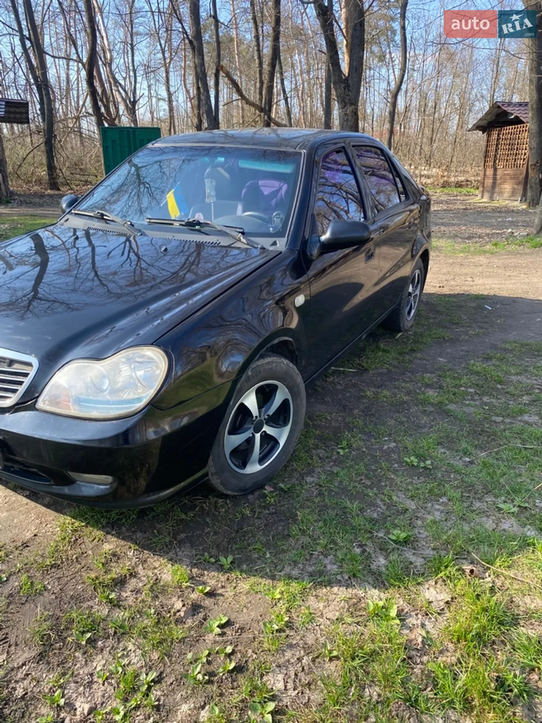 2013 Geely CK (Otaka) - мініатюра 6