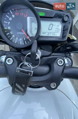 Мотоцикл Без обтекателей (Naked bike) Geon Pantera 250 2024 в 