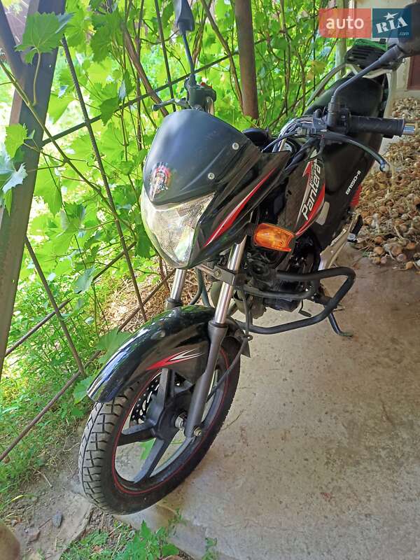 Geon Pantera 2014