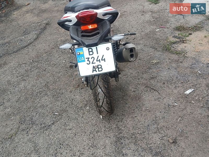 Geon Pantera 2019 Geon Pantera 2019