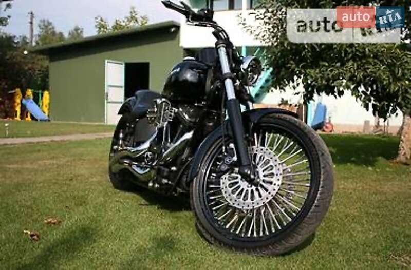 Мотоцикл Чоппер Harley-Davidson Custom 2006 в Киеве
