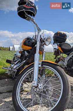 Мотоцикл Кастом Harley-Davidson FXDWG 1999 в 