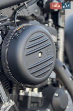 Мотоцикл Классик Harley-Davidson XL 883N 2021 в 