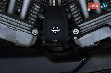 Мотоцикл Без обтекателей (Naked bike) Harley-Davidson XR 2009 в 