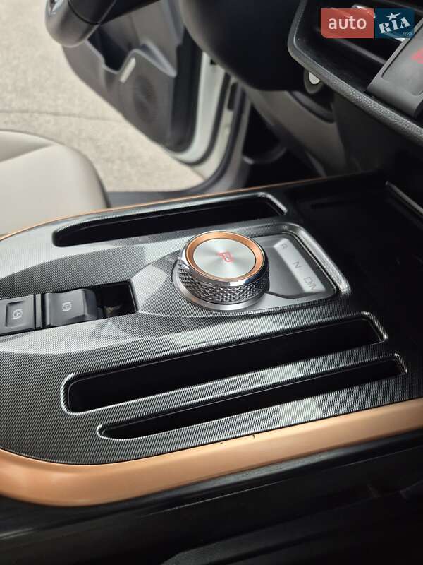 Позашляховик / Кросовер Haval Jolion 2021 в Києві фото 27 Позашляховик / Кросовер Haval Jolion 2021 в Києві