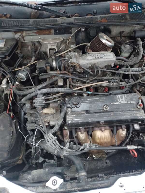 Хетчбек Honda Accord 1987 в Андрушівці