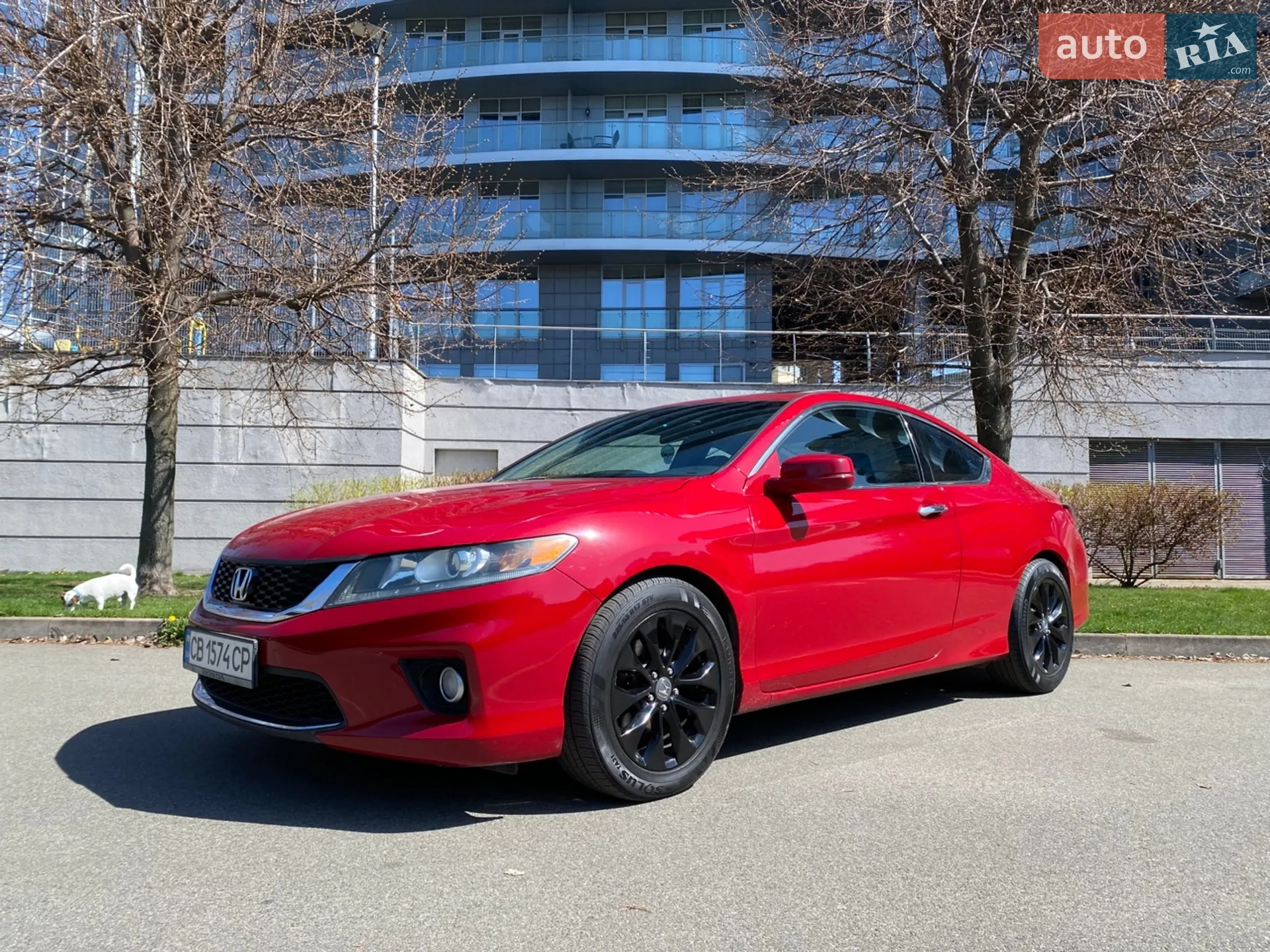 2013 Honda Accord - мініатюра 8