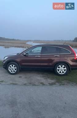 Внедорожник / Кроссовер Honda CR-V 2011 в Житомире