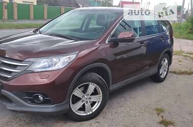 Позашляховик / Кросовер Honda CR-V 2013 в Звягелі