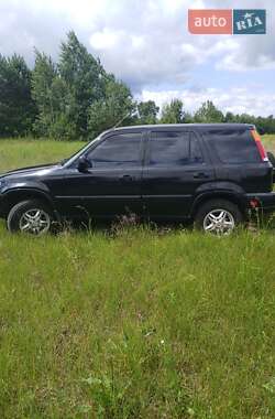 Внедорожник / Кроссовер Honda CR-V 1999 в 