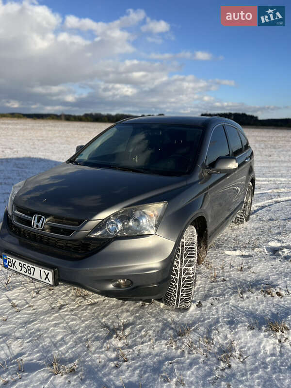 Внедорожник / Кроссовер Honda CR-V 2010 в Радивилове